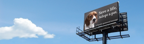 Mobilier urbain digital et connecté pour une pub visible et rentable